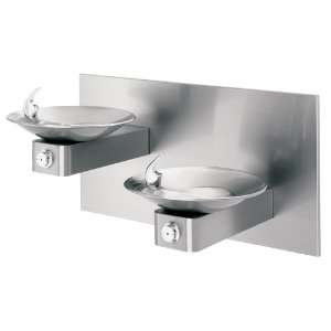   Mounted, Dual Stainless Steel Drinking Fountains with Back Panel. 1011