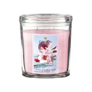  Set of 2 Pink Cherry Blossom Scented Jar Candles 22oz by 