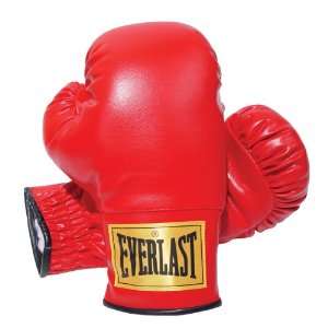 Everlast 2964 Traditional Boxing Gloves (14 oz.)  Sports 