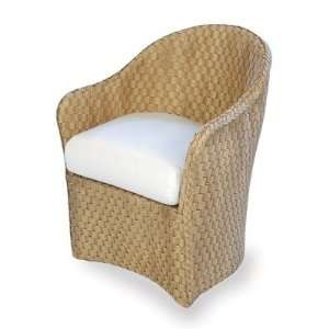  Rio Dining Chair Finish Antique White, Fabric Canvas 