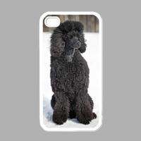 BLACK POODLE DOG COVER CASE FOR APPLE IPHONE 4 PHONE  