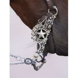  Fancy Silver Bit on Horse Bridle of Cowboy, Flitner Ranch 