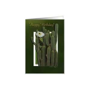  Happy Birthday Cactus Flower Plant Card Health & Personal 