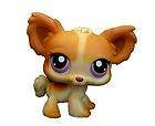 Littlest Pet Shop Long Hair Chihuahua with Purple Eyes 