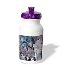   Floral Prints   Cherry Blossom Tree   Water Bottles
