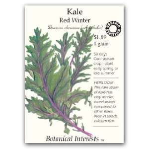  Kale Red Winter Certified Organic Seed: Patio, Lawn 