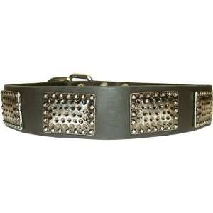 Dean & Tyler New Design Dog Collar Drum Roll    High Quality Leather 