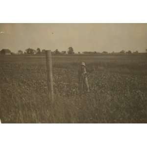  1915 child labor photo Henry Kaiser, twelve year old beet 