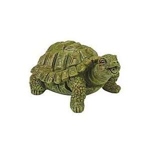  Best Quality Turtle Spitter / Size By Geoglobal Partners 