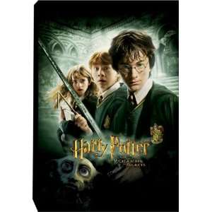  Harry Potter Chamber of Secrets Canvas Art: Arts, Crafts 