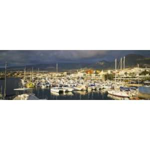 Boats Moored at a Harbor, Tenerife, Canary Islands, Spain Photographic 