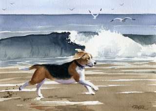 BEAGLE BEACH Painting Dog Art ACEO Print Signed DJR  