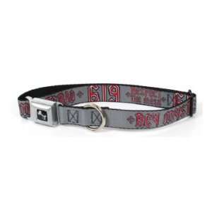  Rey Mysterio Respect the Mask Dog Collar Sports 