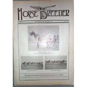  American Horse Breeder Vol. XXXIV No. 38 September 20 