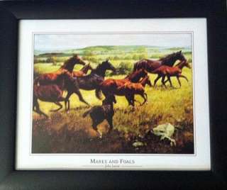 Framed Wild Western Cowboy Canyon Horse Buggy Photos  