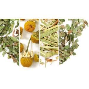 Garden Herbal Teas Sampler  Grocery & Gourmet Food