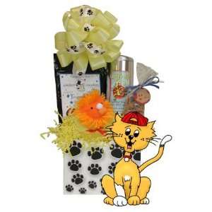  Thinking of You Kitty Gift Basket  Basket Theme GET WELL 